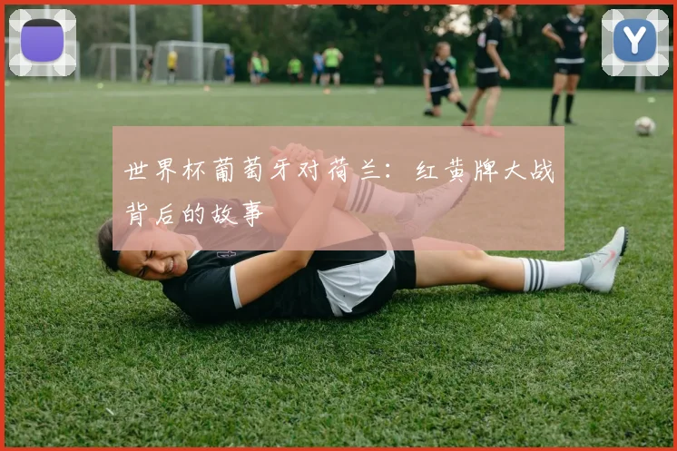 世界杯葡萄牙对荷兰:红黄牌大战背后的故事