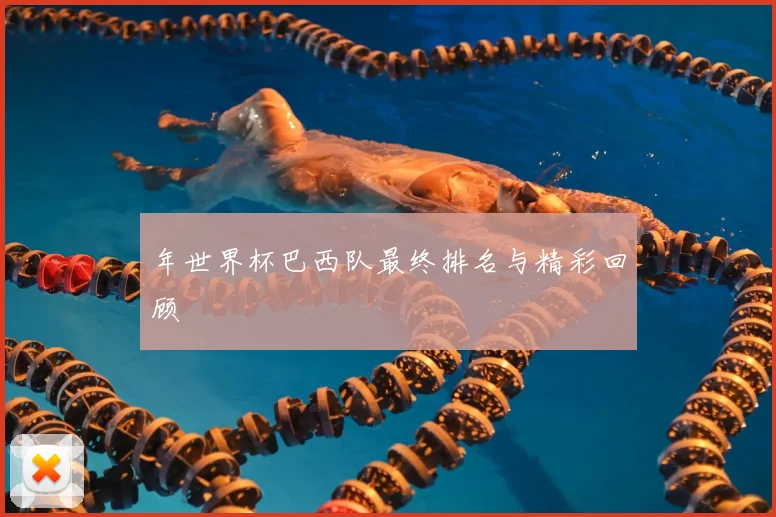 年世界杯巴西队最终排名与精彩回顾