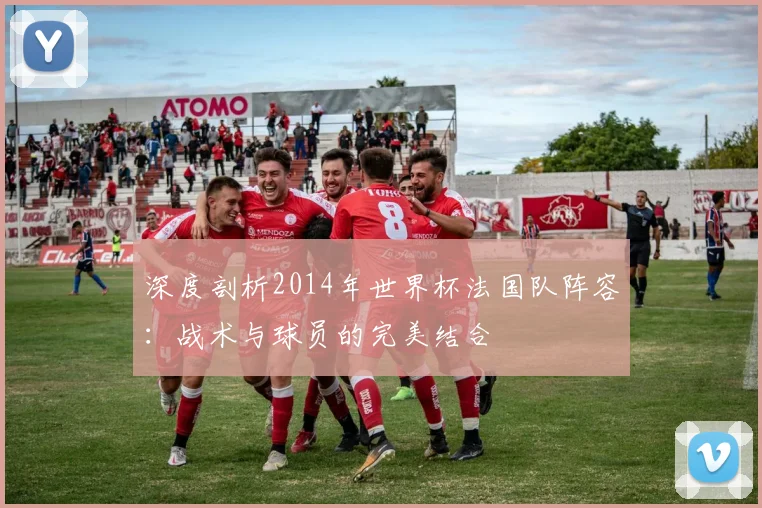 深度剖析2014年世界杯法国队阵容:战术与球员的完美结合