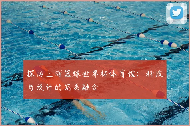 探访上海篮球世界杯体育馆:科技与设计的完美融合