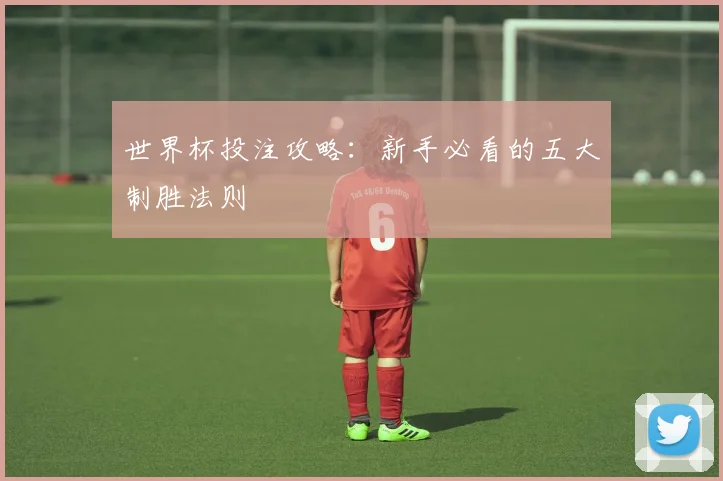 世界杯投注攻略:新手必看的五大制胜法则