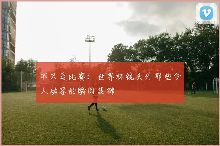 不只是比赛:世界杯镜头外那些令人动容的瞬间集锦