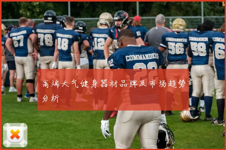 高端大气健身器材品牌及市场趋势分析
