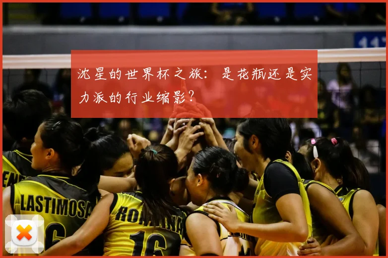 沈星的世界杯之旅:是花瓶还是实力派的行业缩影?
