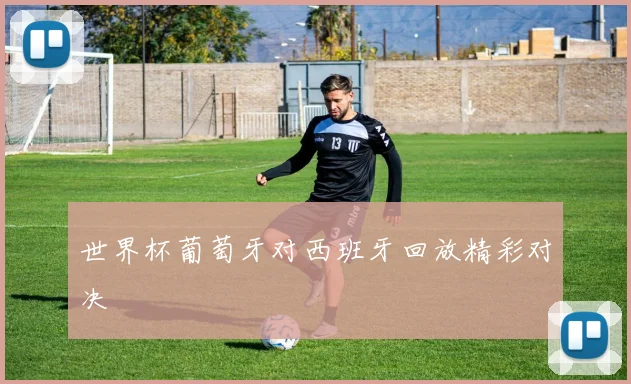 世界杯葡萄牙对西班牙回放精彩对决
