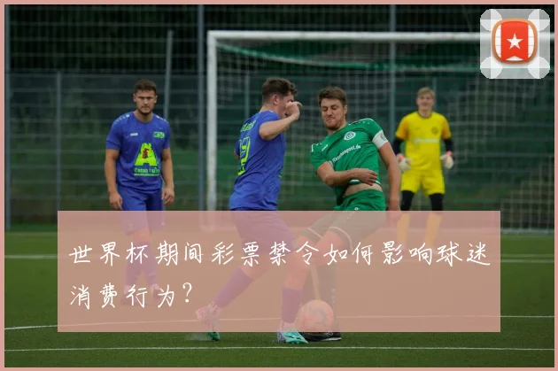 世界杯期间彩票禁令如何影响球迷消费行为?