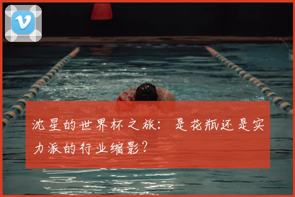 沈星的世界杯之旅:是花瓶还是实力派的行业缩影?
