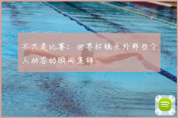 不只是比赛:世界杯镜头外那些令人动容的瞬间集锦