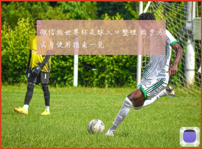 微信购世界杯足球入口整理 购票方式与使用指南一览