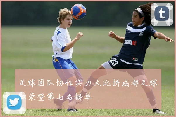 足球团队协作实力大比拼成都足球队荣登第七名榜单