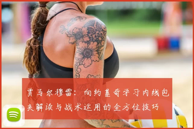 贾马尔穆雷：向约基奇学习内线包夹解读与战术运用的全方位技巧