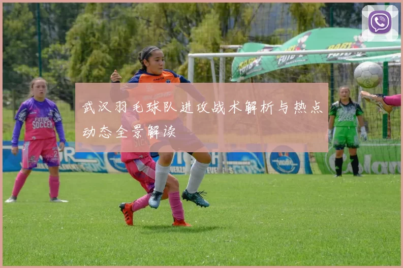 武汉羽毛球队进攻战术解析与热点动态全景解读