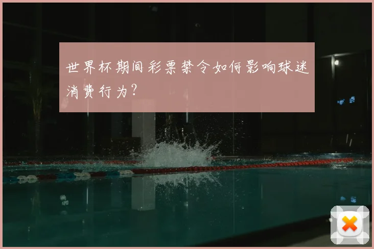 世界杯期间彩票禁令如何影响球迷消费行为?