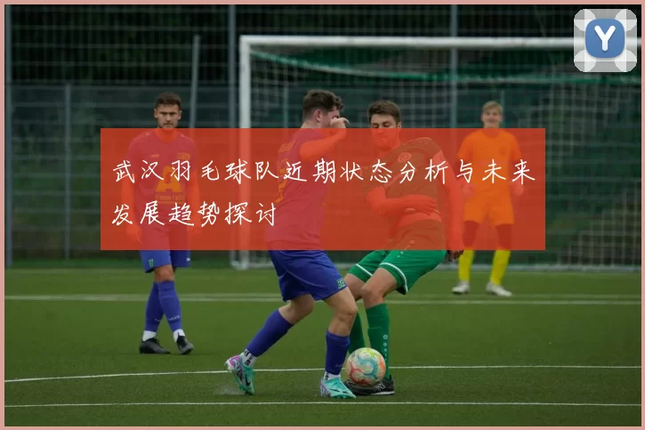 武汉羽毛球队近期状态分析与未来发展趋势探讨