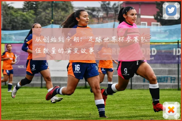 从创始到今朝:足球世界杯参赛队伍数量的演变故事
